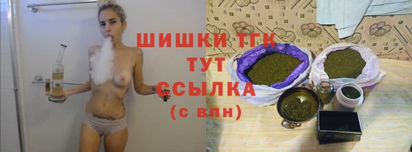 мдпв Богородск