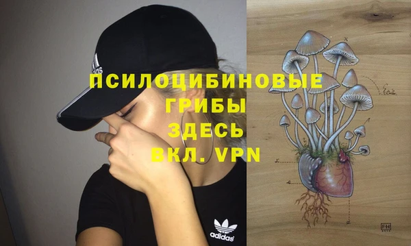 скорость Богородицк