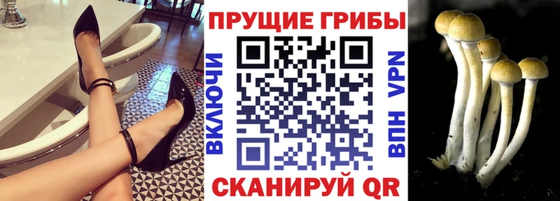 где продают   OMG ТОР  Галлюциногенные грибы GOLDEN TEACHER  Красновишерск 